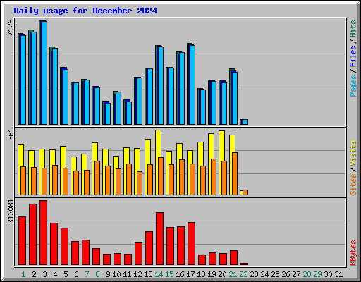 Daily usage for December 2024