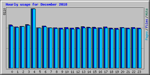 Hourly usage for December 2018