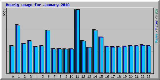 Hourly usage for January 2019