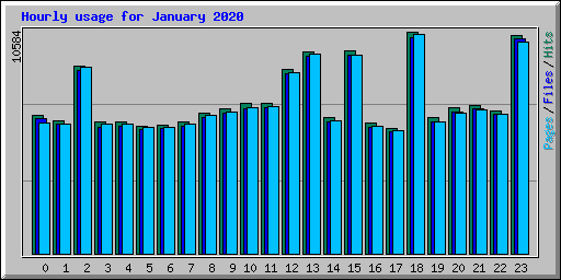 Hourly usage for January 2020