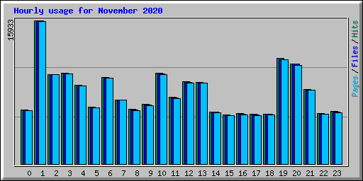 Hourly usage for November 2020