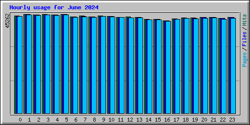 Hourly usage for June 2024