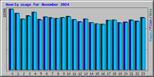 Hourly usage for November 2024