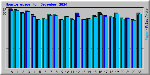 Hourly usage for December 2024