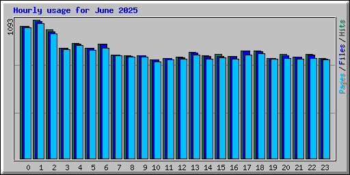 Hourly usage for June 2025