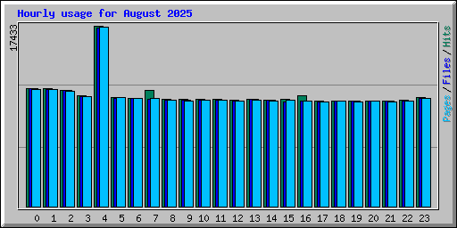 Hourly usage for August 2025