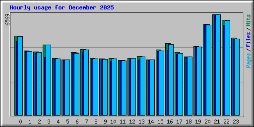 Hourly usage for December 2025