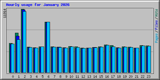 Hourly usage for January 2026