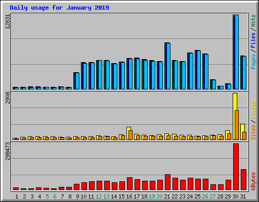 Daily usage for January 2019