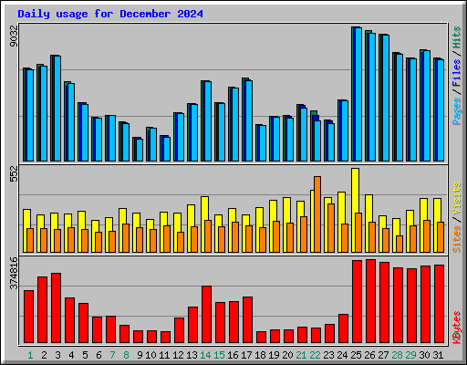 Daily usage for December 2024