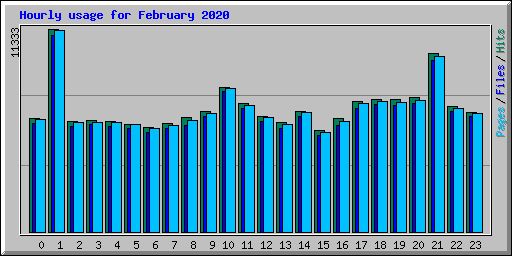 Hourly usage for February 2020