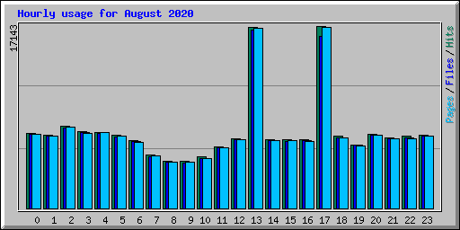 Hourly usage for August 2020