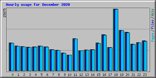 Hourly usage for December 2020