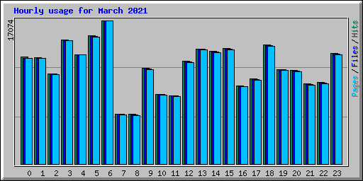 Hourly usage for March 2021