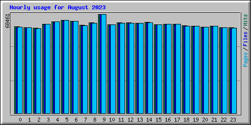 Hourly usage for August 2023