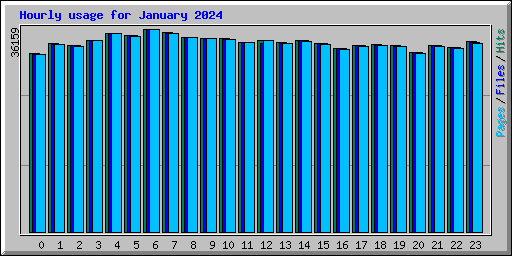 Hourly usage for January 2024