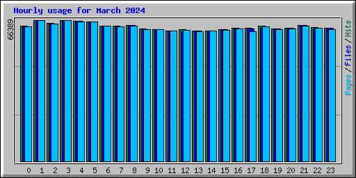 Hourly usage for March 2024