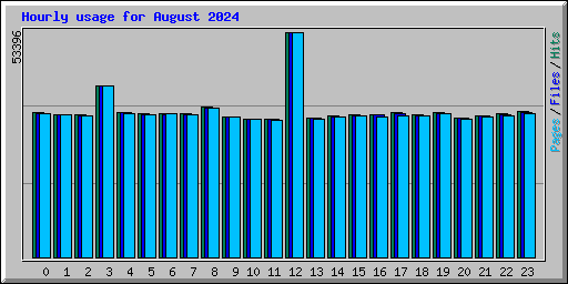 Hourly usage for August 2024