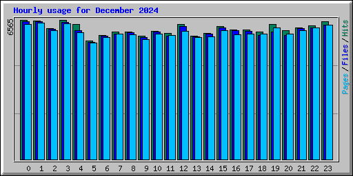 Hourly usage for December 2024