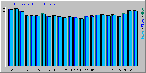 Hourly usage for July 2025