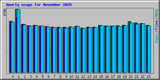 Hourly usage for November 2025