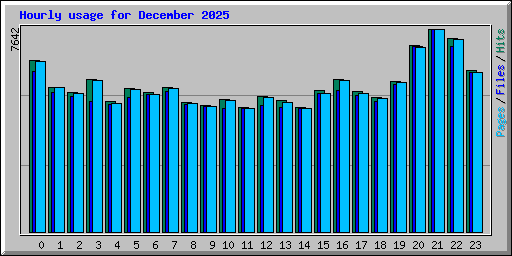 Hourly usage for December 2025