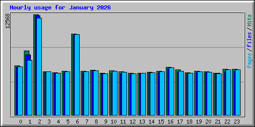 Hourly usage for January 2026